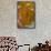 Plume Agate, Sammamish, Washington-Darrell Gulin-Framed Stretched Canvas displayed on a wall
