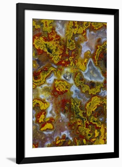 Plume and Moss Design in Agate, Fox Island WA-Darrell Gulin-Framed Photographic Print