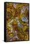 Plume and Moss Design in Agate, Fox Island WA-Darrell Gulin-Framed Stretched Canvas