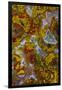 Plume and Moss Design in Agate, Fox Island WA-Darrell Gulin-Framed Photographic Print