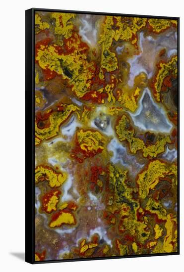 Plume and Moss Design in Agate, Fox Island WA-Darrell Gulin-Framed Stretched Canvas