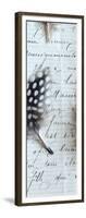 Plume Feathers V Crop I-Sue Schlabach-Framed Art Print
