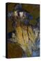 Plume of Priday Agate-Darrell Gulin-Stretched Canvas