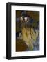 Plume of Priday Agate-Darrell Gulin-Framed Photographic Print