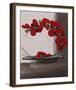 Plume Orchid II-Olivier Tramoni-Framed Art Print