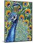 Plumed Peacock I-Carolee Vitaletti-Mounted Art Print