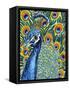 Plumed Peacock I-Carolee Vitaletti-Framed Stretched Canvas