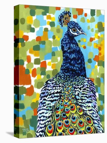 Plumed Peacock II-Carolee Vitaletti-Stretched Canvas