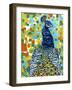 Plumed Peacock II-Carolee Vitaletti-Framed Art Print