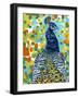 Plumed Peacock II-Carolee Vitaletti-Framed Art Print