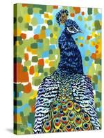 Plumed Peacock II-Carolee Vitaletti-Stretched Canvas