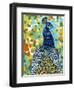 Plumed Peacock II-Carolee Vitaletti-Framed Art Print