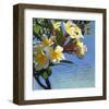 Plumeria 01-Rick Novak-Framed Art Print