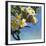 Plumeria 01-Rick Novak-Framed Art Print