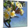 Plumeria 01-Rick Novak-Mounted Art Print