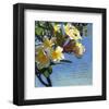 Plumeria 01-Rick Novak-Framed Art Print