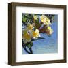 Plumeria 01-Rick Novak-Framed Art Print