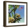 Plumeria 02-Rick Novak-Framed Art Print