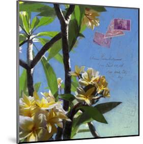 Plumeria 02-Rick Novak-Mounted Art Print