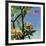 Plumeria 02-Rick Novak-Framed Art Print