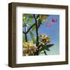 Plumeria 02-Rick Novak-Framed Art Print