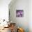 Plumeria Bloom II-Tony Koukos-Giclee Print displayed on a wall