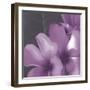Plumeria Bloom II-Tony Koukos-Framed Giclee Print