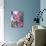 Plumeria in Bloom-Georgienne Bradley-Photographic Print displayed on a wall