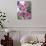 Plumeria in Bloom-Georgienne Bradley-Photographic Print displayed on a wall