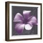 Plumeria - Solitary-Tony Koukos-Framed Giclee Print