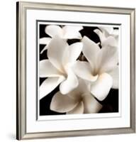 Plumeria View-Peterson-Limited Edition Framed Print