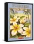 Plumeria-Kerne Erickson-Framed Stretched Canvas