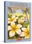 Plumeria-Kerne Erickson-Stretched Canvas