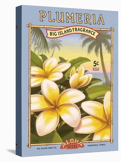 Plumeria-Kerne Erickson-Stretched Canvas