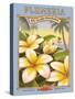 Plumeria-Kerne Erickson-Stretched Canvas