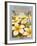 Plumeria-Kerne Erickson-Framed Art Print