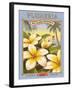 Plumeria-Kerne Erickson-Framed Art Print