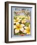 Plumeria-Kerne Erickson-Framed Art Print