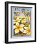 Plumeria-Kerne Erickson-Framed Art Print