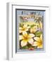 Plumeria-Kerne Erickson-Framed Art Print