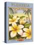 Plumeria-Kerne Erickson-Stretched Canvas