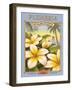 Plumeria-Kerne Erickson-Framed Art Print