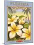 Plumeria-Kerne Erickson-Mounted Art Print