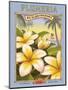 Plumeria-Kerne Erickson-Mounted Art Print