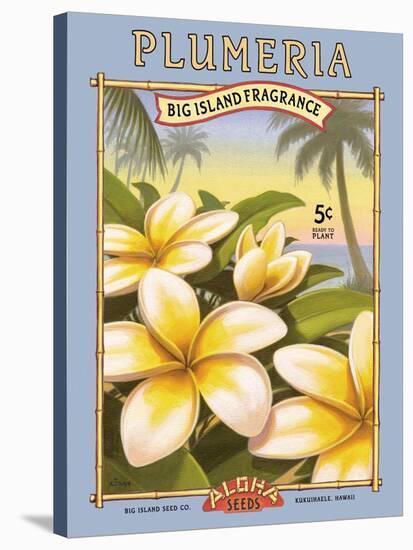 Plumeria-Kerne Erickson-Stretched Canvas