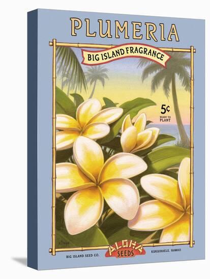 Plumeria-Kerne Erickson-Stretched Canvas