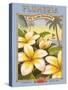 Plumeria-Kerne Erickson-Stretched Canvas