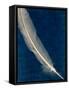 Plumes and Quills 1-Dan Zamudio-Framed Stretched Canvas