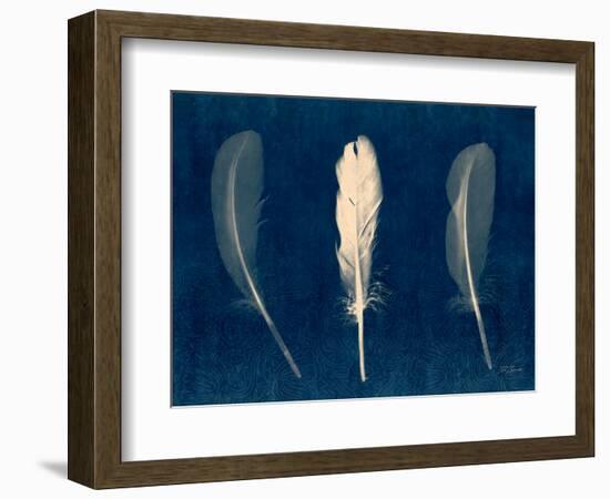 Plumes and Quills 2-Dan Zamudio-Framed Art Print