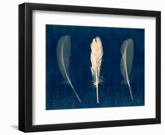 Plumes and Quills 2-Dan Zamudio-Framed Art Print